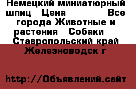 Немецкий миниатюрный шпиц › Цена ­ 60 000 - Все города Животные и растения » Собаки   . Ставропольский край,Железноводск г.